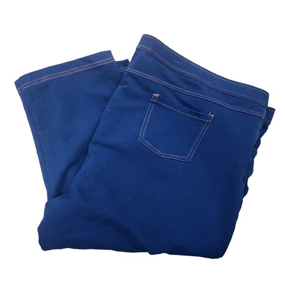 Susan Gravers Essentials Womens Blue Pull On Knit Capri Jegging Pants Size 3x - Picture 1 of 7
